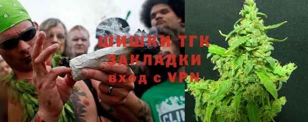 мет Алексин