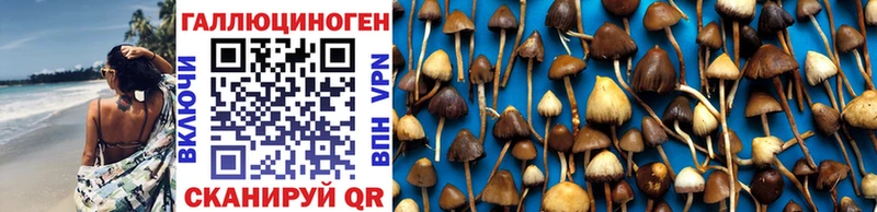 сколько стоит  hydra ТОР  Псилоцибиновые грибы Cubensis  Малоархангельск 